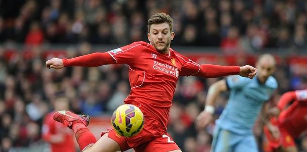 红鸟资本的 红鸟资本的